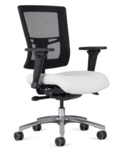 Affirm Executive Mid Back Tasker