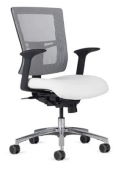 Affirm Management Mid Back Tasker