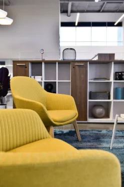 Jest Lounge Chair -Office Chair Shop Friant Jest Guest Side 04325.1687271889