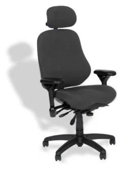 High Back Executive 12-Point Posture Control By BodyBilt ™