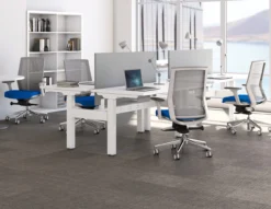 Zilo Grey Mesh White Frame Ergonomic Task Chair -Office Chair Shop Zilo Room 1 10660.1645540696