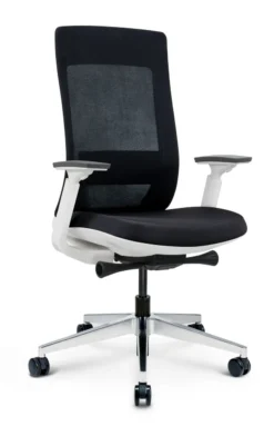 Elevate Executive Task Chair White Frame 9 Elevate Executive Task Chair White Frame -Office Chair Shop ocusa.mesp8fFA 45325.1580968435