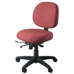 PT62 Ergonomic Petite Tasker -Office Chair Shop pt62 3 73784.1461081401
