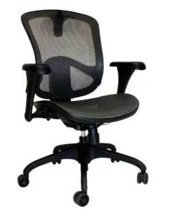 Relax Ergonomic All Mesh Work Chair
