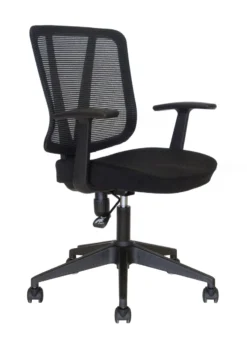 To-Vida Task Chair
