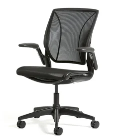 Humanscale World One Ergonomic Chair
