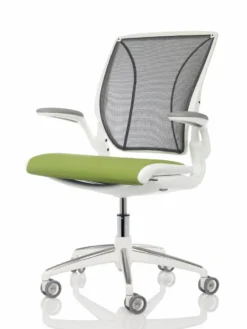Humanscale Diffrient World Chair